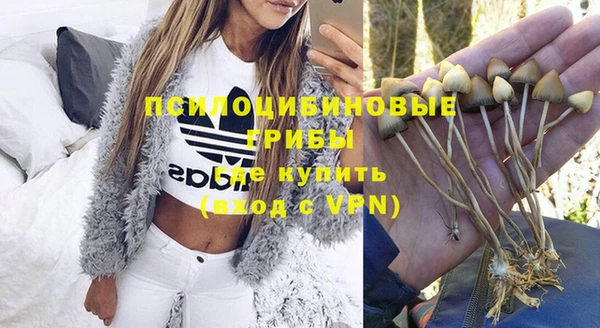 сатива Гусев
