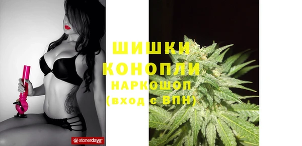 сатива Гусев
