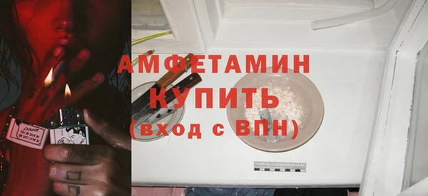 PSILOCYBIN Горняк