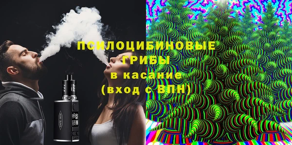 PSILOCYBIN Горняк