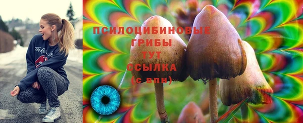 наркотики Горно-Алтайск