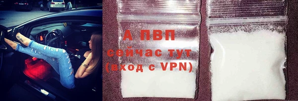 PSILOCYBIN Горняк